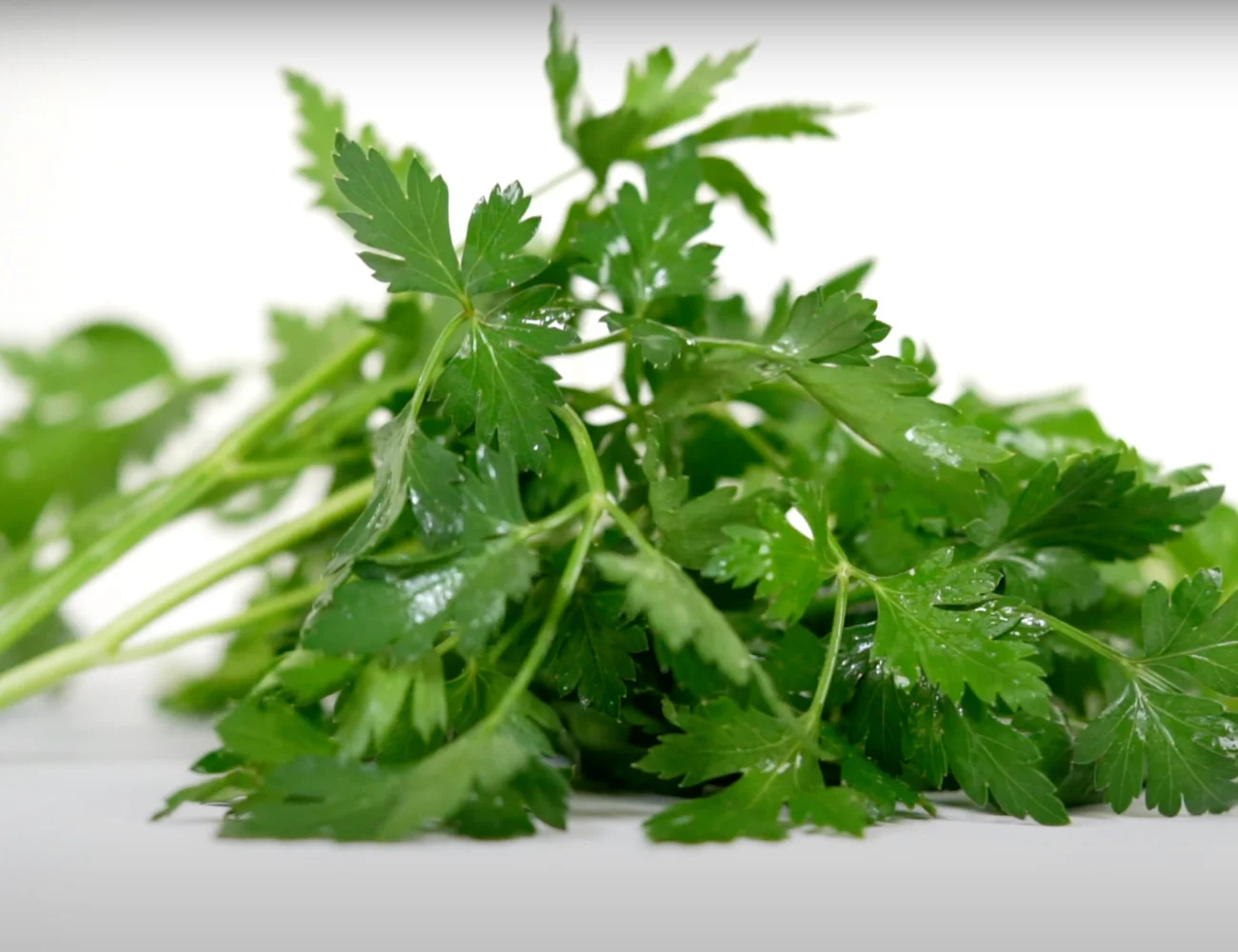 livingston seeds herbs